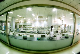 喜旺科技榮膺科技進步獎，技術開發成果獲權威認可